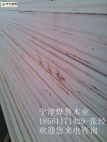 中木商網(wǎng) 一站式木材產(chǎn)品與資訊服務(wù)平臺(tái)