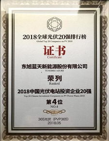東旭藍天榮登2018中國光伏電站投資企業20強，引領清潔能源投資新篇章